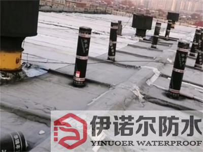 上海吳中口碑好的防水公司公司推薦保質保量